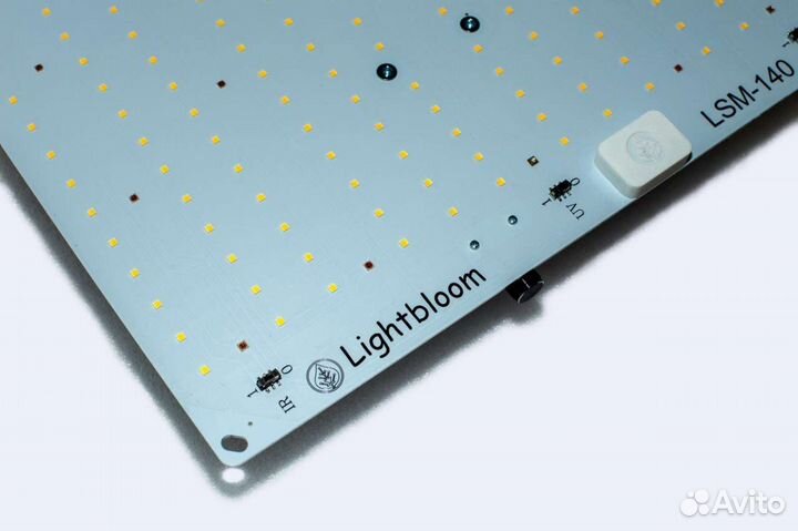 Quantum board lightbloom lsm-140