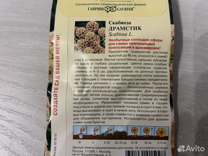 Семена скабиоза драмстик