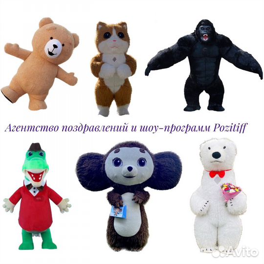 Белый мишка Горилла Тедди Котик Поздравление