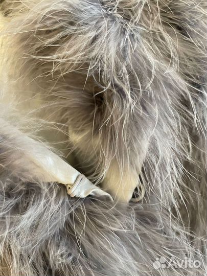 Накидка из лебяжьего пуха Sinequanone