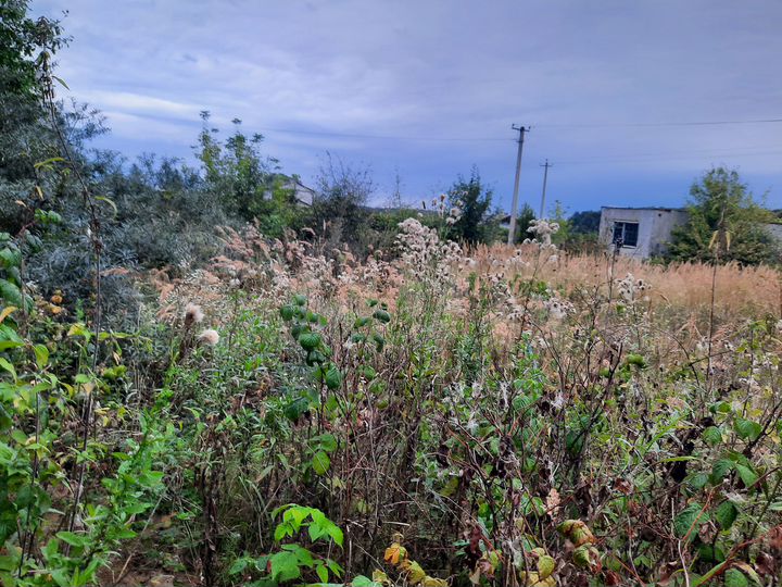 Участок 7 сот. (ИЖС)