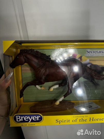 Breyer Secretariat