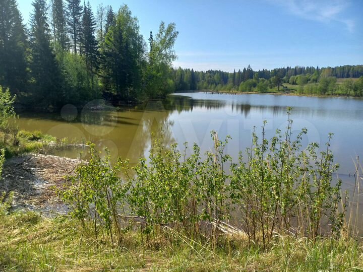 Участок 5 га (СНТ, ДНП)