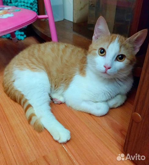 Рыжая девочка ищет самую лучшую маму