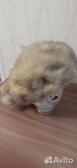 Шапка женская