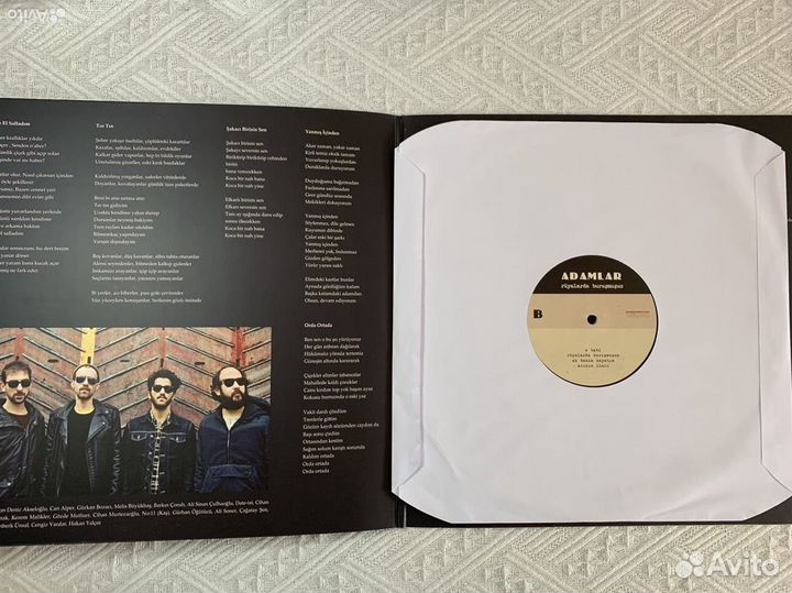 Виниловые пластинки