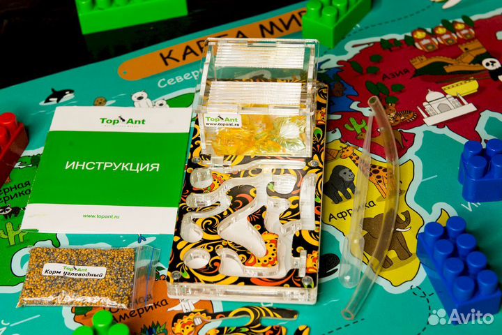 Муравьиная ферма