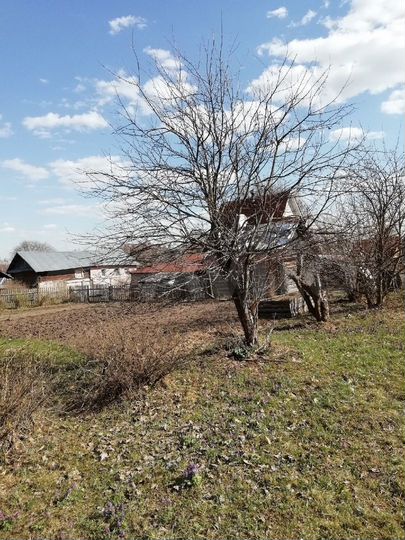 Дом 15,3 м² на участке 16 сот.