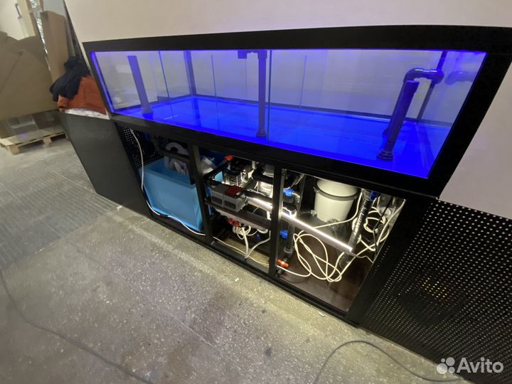 Аквариум узв передержка устриц краба морепродуктов