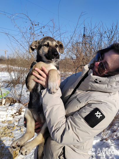 Умная девочка в поисках семьи