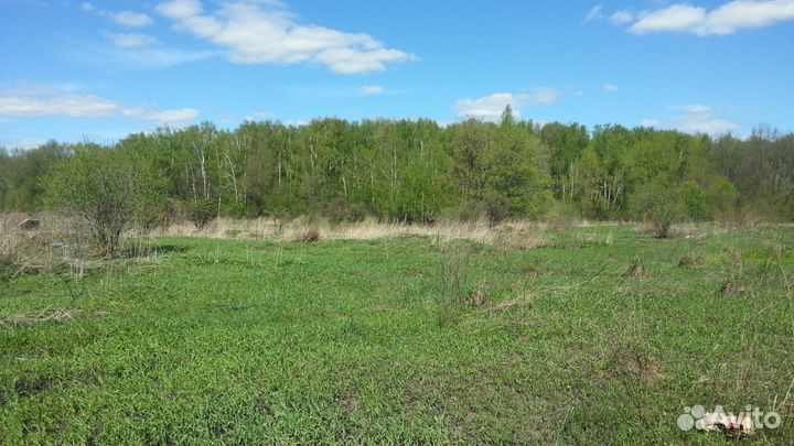 Ферма. Коровник, свинарник, крольчатник