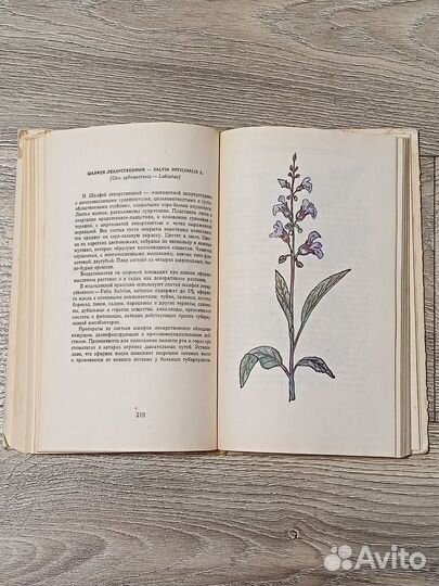 Книга Лекарственные растения 1976 г