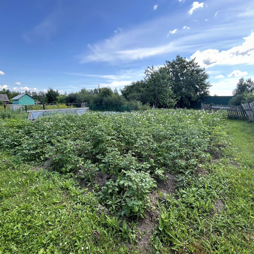 Квартира 2-комн. 43.7 м² в Молочное — фото 16 из 17