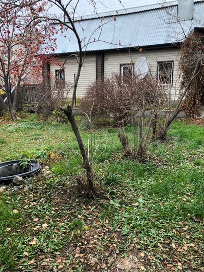 Дом 75 м² на участке 9 сот.