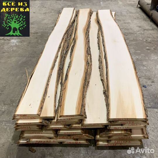 Слэб дерева липы