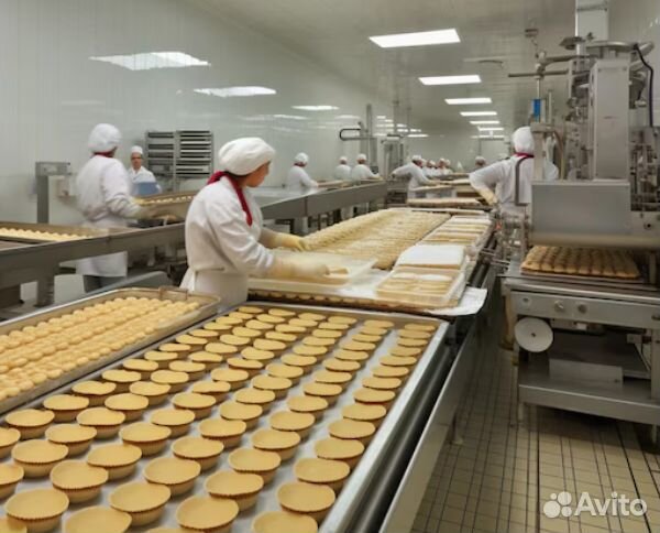 Помощник повара с ежедневными выплатами