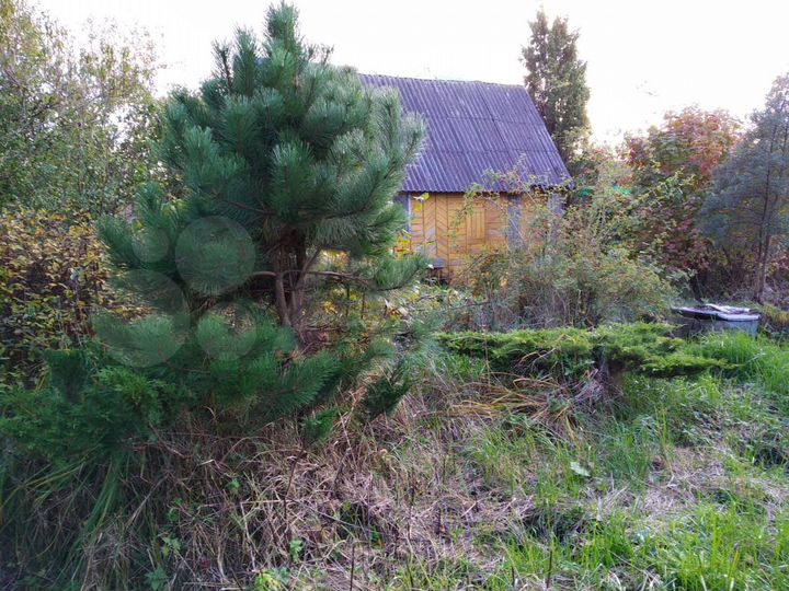 Участок 4 сот. (СНТ, ДНП)