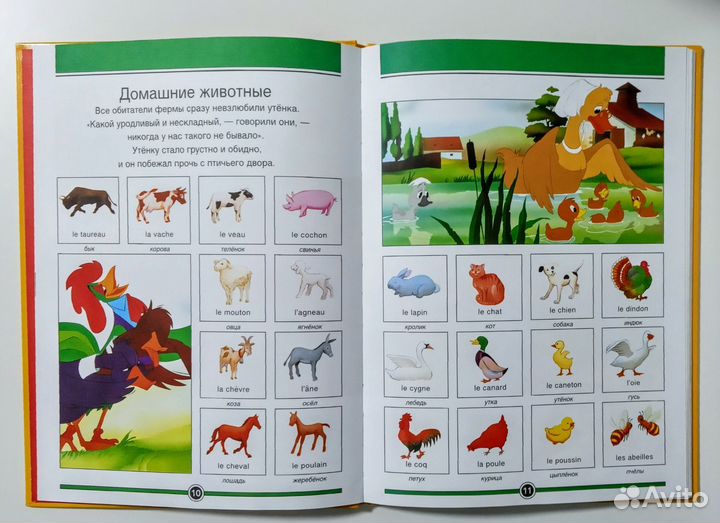 Мои первые слова в картинках