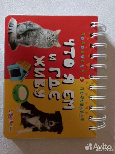 Развивающая книга