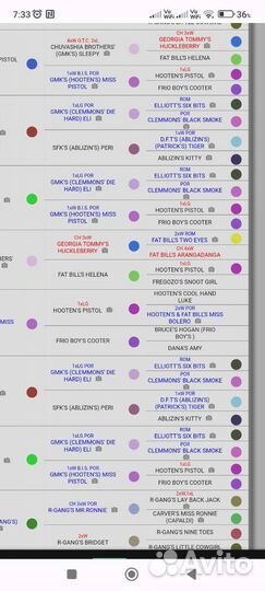 Питбуль вязка