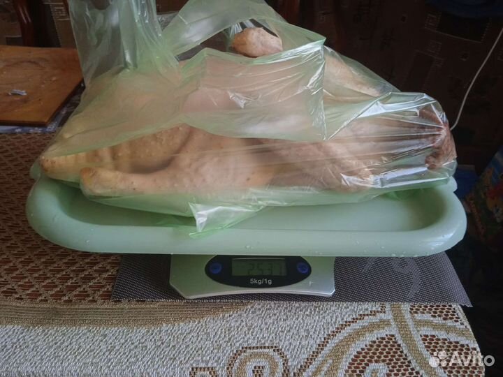 Утки муларды тушки домашние