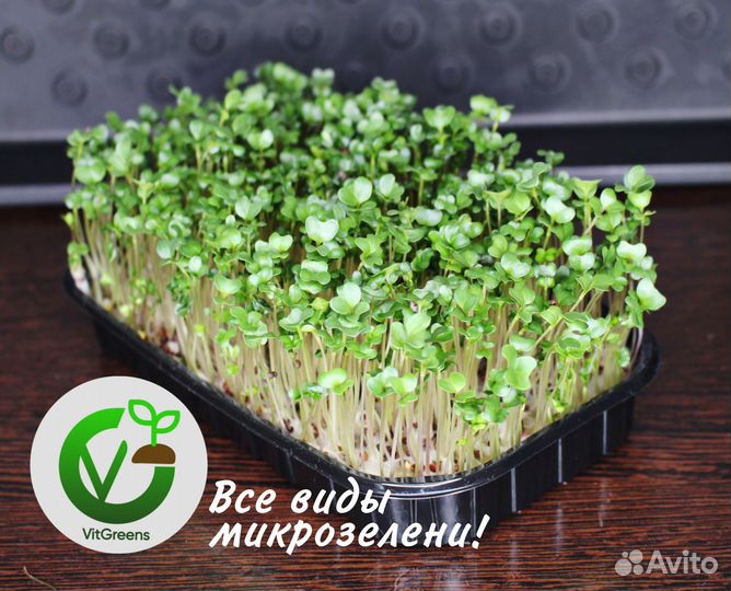 Микрозелень