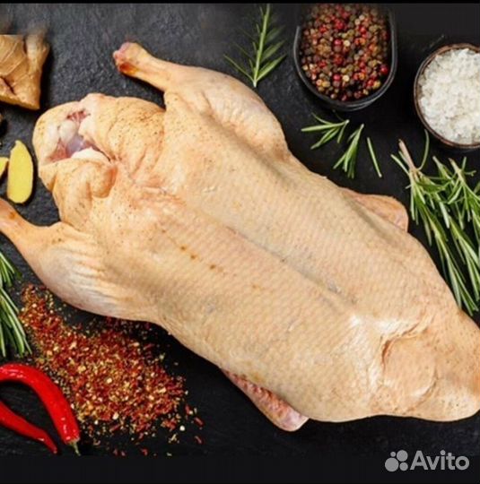 Индоутка тушка