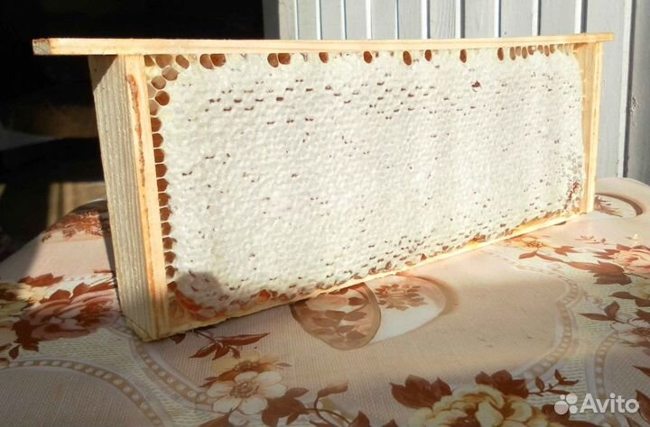 Мёд сотовый