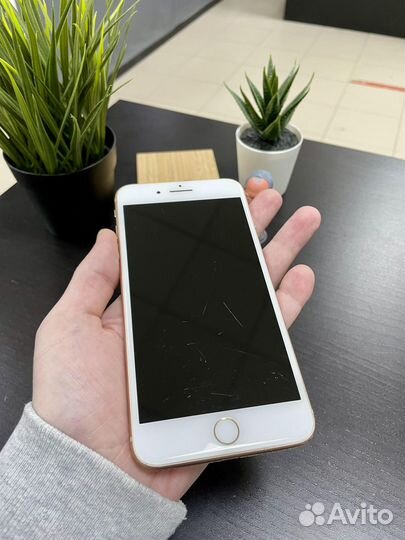 iPhone 8 Plus, 128 ГБ