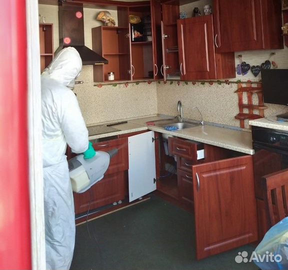 Уничтожение тараканов и клопов дезинфекция