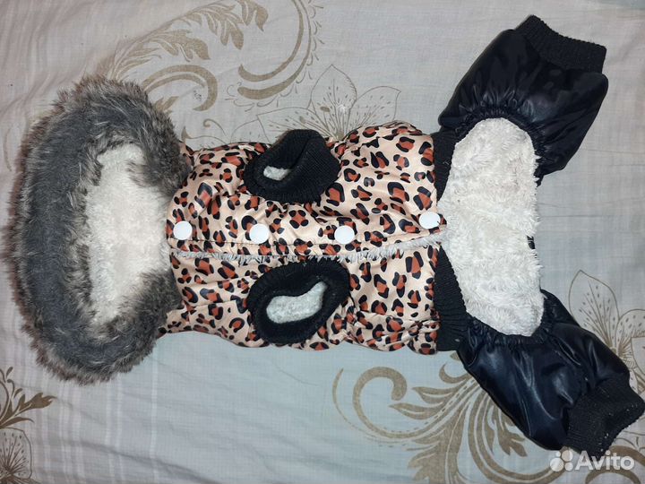 Одежда для маленьких собак