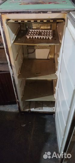 Холодильник двухкамерный и две морозильные камеры