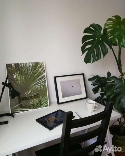 Картины/постеры в интерьер