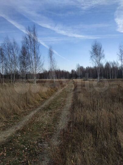 Участок 53 га (СНТ, ДНП)