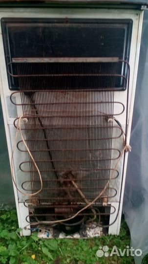 Холодильник Рабочи. Бирюса-16