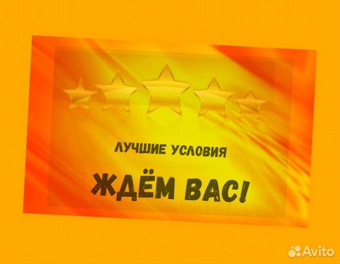 Мойщики Вахта Еженед.выплаты Жилье/Еда Хор.Усл