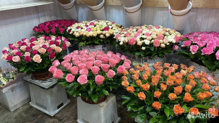 Цветы с доставкой / Розы