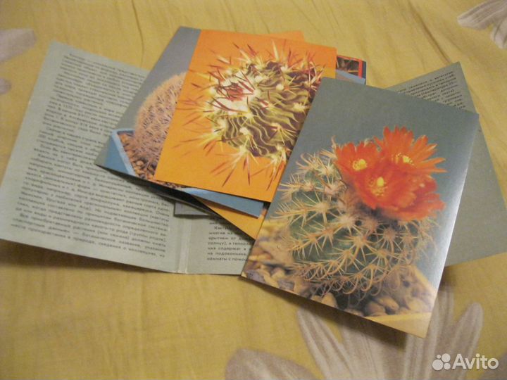 Набор открыток 