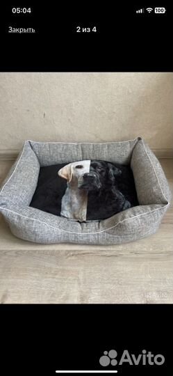 Лежанка для собак