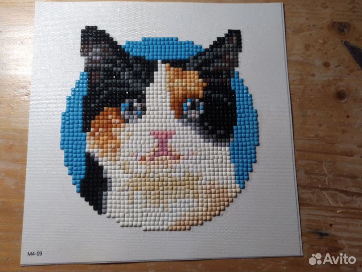 Картинки котиков разных пород