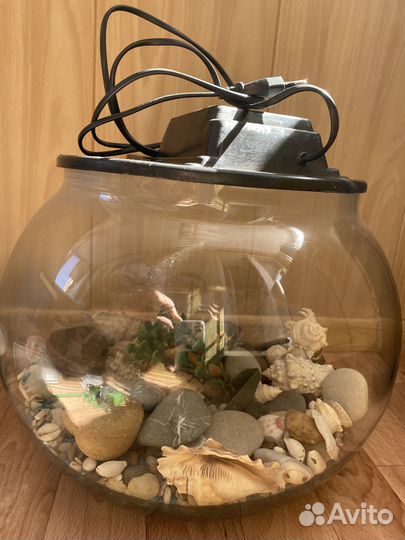 Аквариум