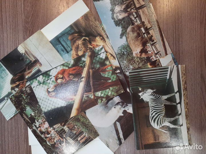 Открытки СССР