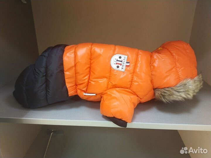 Зимний костюм для собак