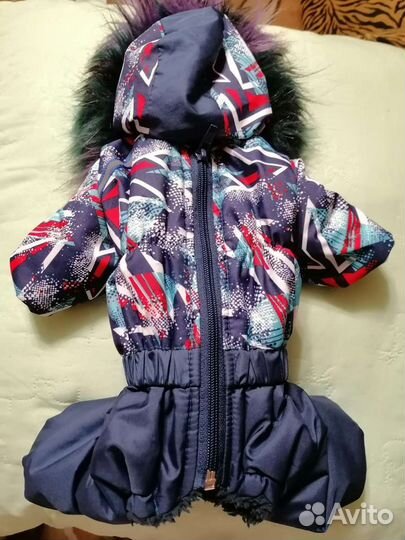 Комбинезон для той-терьера