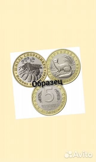 5 червонцев 