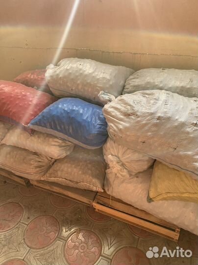 Грецкий орех