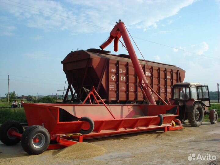 Погрузка насыпью зерна и масличных культур в вагон