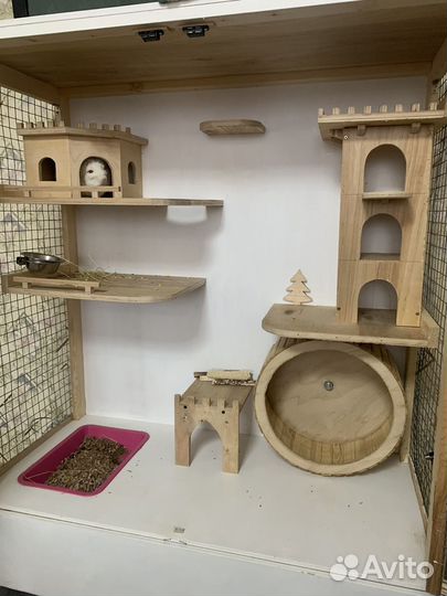 Шиншилла с Клеткой