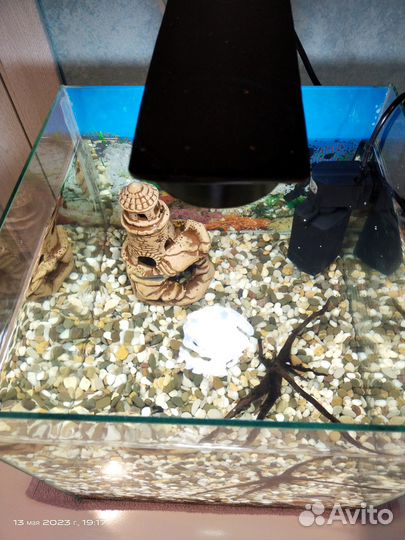 Аквариум 30л