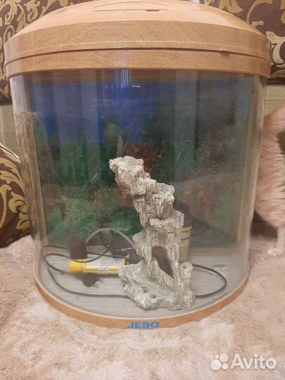Аквариум